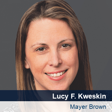 Lucy F. Kweskin - Mayer Brown